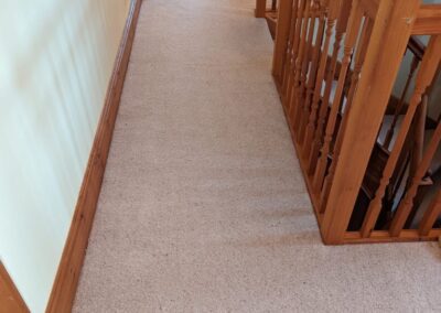 New Carpeting Project 2